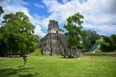Ruins of ancient Mayan city with ‘remarkable’ architecture discovered