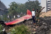 ‘Multiple bird hits’ may have caused deadly plane crash, says expert
