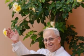 Pope Leo says family is based on ‘union between a man and a woman’