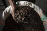 Australian dies of caffeine overdose after 7-hour ambulance delay