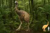 Scientists try to bring giant bird back from extinction