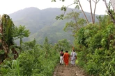 Study suggests destruction of Amazon directly impacts human health