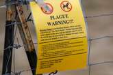 Colorado public health officials confirm new case of human plague