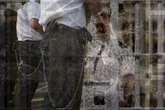Probes into relationships between prison officers and inmates soar