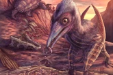 New species of flying reptile that lived among dinosaurs discovered