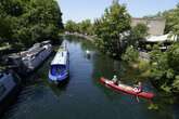 ‘Dozens’ of swans found dead in canal with Defra probe launched