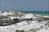 Doctors on vacation rescue 15-year-old shark attack victim in Florida