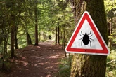 Life-threatening tick bite disease found at popular UK beauty spots
