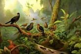 Humans have wiped out twice as many bird species as previously thought – study