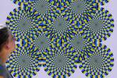 People in this profession spot optical illusions well, study finds