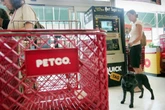 Petco set to close stores - here are the ones on the chopping block