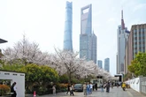 Nation set to further advance financial opening-up