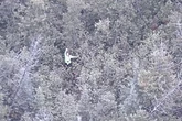 YouTube survival show contestant rescued from forest after 18 hours