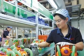 Economy expected to maintain steady pace