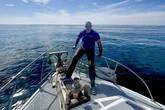 Shipwreck explorer Joe Mazraani dies on deep-sea dive to find wreck