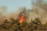 Long Island brush fires caused by a resident trying to make s’mores