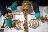 Strange burial of humans with hands tied behind back unearthed in Peru