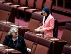 Australian senator resigns over stand on Palestinian statehood
