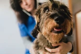 Vet wins over £12,000 after she was forced to work through lunch break