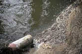 Water pollution across UK surged by nearly a third