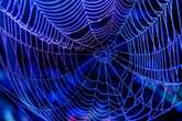 Scientists spin artificial spider webs to treat chronic wounds