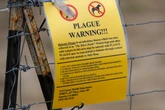California resident tests positive for plague after camping