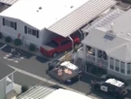 Son arrested after elderly couple are found decapitated