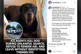 Beloved social account WeRateDogs shares post about dog shot by CBP