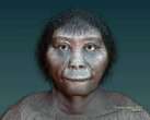 Smallest human species ‘Flores Hobbits’ were even smaller than thought