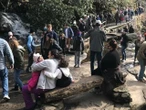 National Parks inundated with trash as visitors spike post-lockdown