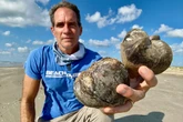 Spooky highly poisonous fruits are washing up on Texas beaches