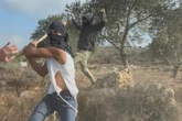 Palestinian woman nearly clubbed to death by Jewish settler