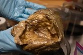 Scientists identify mysterious ‘golden orb’ found on ocean floor