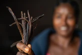 How climate crisis and aid cuts could devastate supplies of vanilla