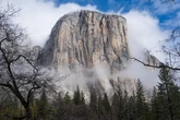 TikTok climbing star dies after falling from Yosemite’s El Capitan