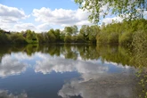 Teenage boy’s body found after he went missing swimming in lake