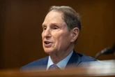 Top Democrat calls on Trump’s IRS to investigate Epstein bank records
