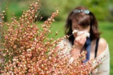 New vaccine shows promise in curing deadly allergies