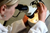 Whole-genome sequencing data ‘can transform cancer care with tailored therapy’