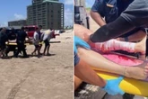 Four injured in July 4 shark attacks on Florida beach