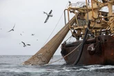 What does the new EU deal mean for Britain’s fishing industry?