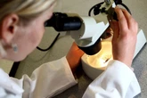 Common prostate cancer test fails to diagnose most aggressive cancers