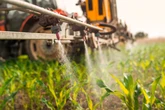 Scientists detect pesticide residue across Europe