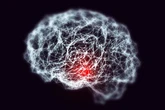 Scientists finally know how cancer causes memory loss in some patients
