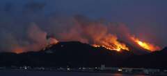 Hundreds evacuate in Japan after new wildfires break out