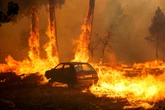 European wildfire smoke dampens UK heatwave