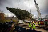 Rockefeller Center Christmas tree is on its way to New York City