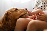 Babies have lower risk of getting asthma if they grow up around dogs