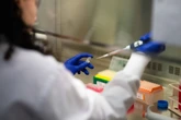 China surpasses US in research spending and the consequences are dire