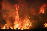 Wildfires are blazing across Africa – but leaders like Trump turn away